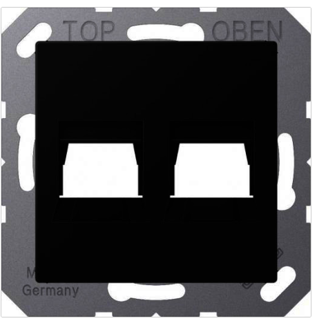 Jung LS990 Afdek Centraalpl 2Xrj45 Utp 8P8C A1569-2WESWM Grafietzwart