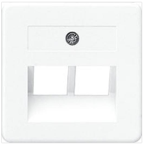 Jung 169-2Uae As500 Inzetplaat Data 2Xrj45 50X50 Creme