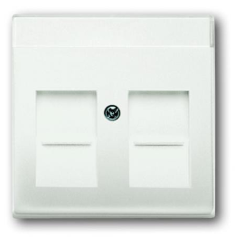 Busch-J Future Linear Centraalpl Datadoos 2Xrj45 Mat Wit 1800-884