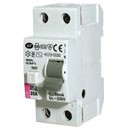 Eti Aardlek Schakelaar 40Amp 30Ma 2-Polig Met Testknop 0020625 432000013