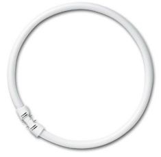 Osram Circlinebuis Lumilux TLE TL5C Fc 22W 865 Rond 6500K 2Gx13 Daglicht