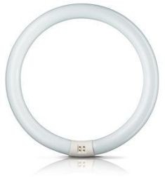 Philips Circlinebuis TLE TL8 40W 840 4000K Rond G10Q Koelwit