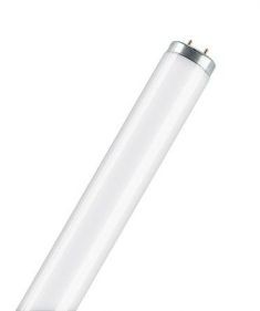 Philips TLD TL Buis TL8 36W 05-10 G13 590Mm Vliegenlamp Blacklight BL 350 Kort 60Cm