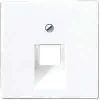 Jung As500 Afdekking Centraalplaat Isdn 1x Rj45 Utp A569-1Pluaww Echt