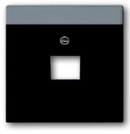 Busch/J Future Linear Centraalpl Datadoos 1Xrj45 F- Mat Zwart 1803-885
