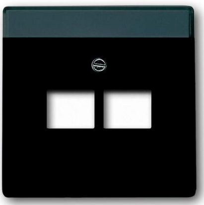 Busch/J Future Linear Centraalpl Datadoos 2Xrj45 Mat Zwart1803-02-885