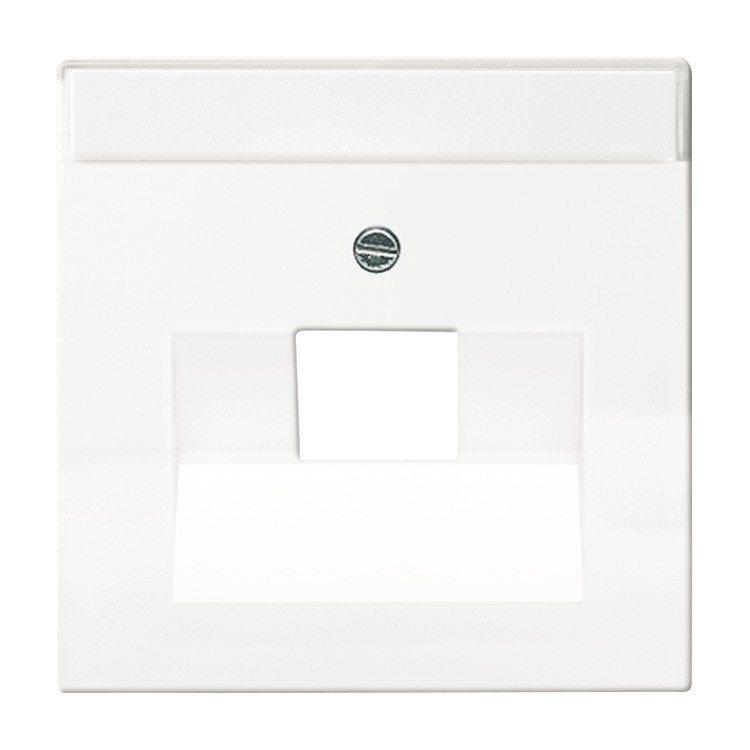 Busch-J Future Linear Centraalpl Datadoos 1Xrj45 F- Mat Wit 1803-884