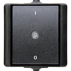 Kopp WD. Waterdicht Proaqua Schakelaar 2-Polig Zwart 540205004