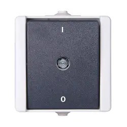 Kopp WD. Waterdicht Proaqua 2-polige schakelaar Grijs IP44