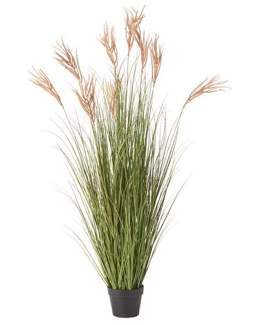 Kunstplant CLAW FLOWER 150 cm Groen