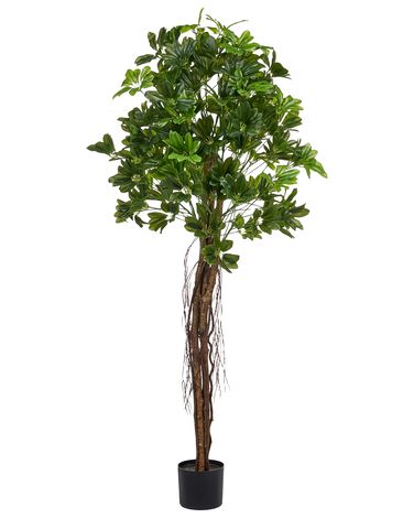 Plante artificielle UMBRELLA TREE 175 cm Vert