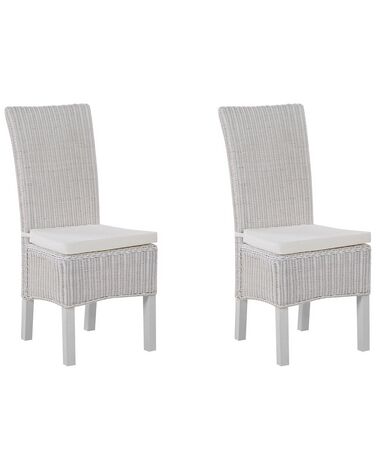 Lot de 2 chaises de salle à manger ANDES Rotin Blanc