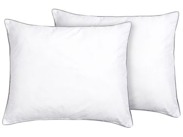 Set van 2 hoofdkussens PELISTER Laag Microvezel 50 x 60 cm Wit