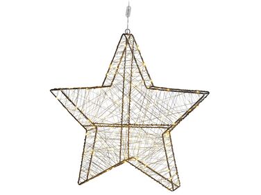 Hangende buitendecoratie LED KURULA Ster 58 cm Zilver