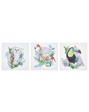Lot de 3 toiles MENAKA Motif animal 30 x 30 cm Multicolore