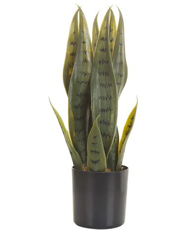 Kunstplant SNAKE PLANT 40 cm Groen