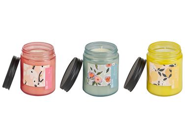 Set van 3 geurkaarsen FRUITY BLOOM Soja wax Orientaalse geurnoten Kruidige geurnoten Bloemige geurnoten