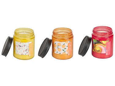 Set van 3 geurkaarsen FRUITY BLOOM Soja wax Fruitige geurnoten
