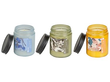 Set van 3 geurkaarsen FRUITY BLOOM Soja wax Frisse geurnoten Bloemige geurnoten