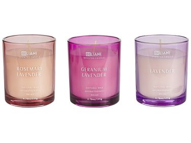 Set van 3 geurkaarsen SHEER JOY Soja wax Bloemige geurnoten