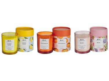 Set van 3 geurkaarsen COLORFUL BARREL Soja wax Orientaalse geurnoten Kruidige geurnoten Bloemige geurnoten