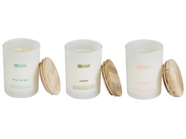 Set van 3 geurkaarsen SIMPLICITY Soja wax Orientaalse geurnoten Frisse geurnoten
