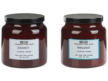 Set van 2 geurkaarsen ABSOLUTE ALCHEMY Soja wax Frisse geurnoten