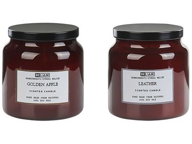 Set van 2 geurkaarsen ABSOLUTE ALCHEMY Soja wax Fruitige geurnoten Frisse geurnoten