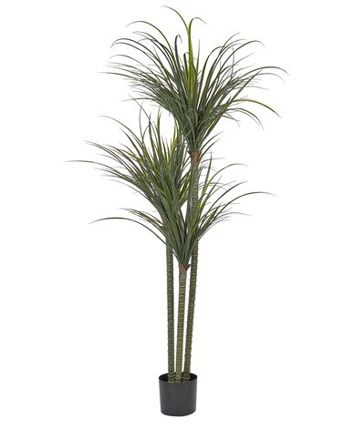 Kunstplant DRACAENA ANITA 198 cm Groen