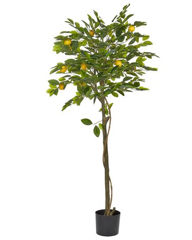 Kunstplant LEMON TREE 156 cm Groen