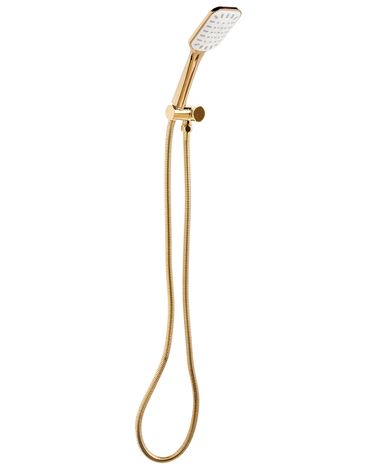 Kit de pommeau de douche avec tuyau flexible AMAJA Doré