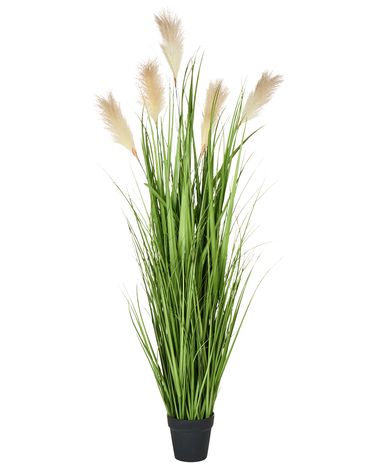 Plante artificielle PAMPAS GRASS 130 cm Vert